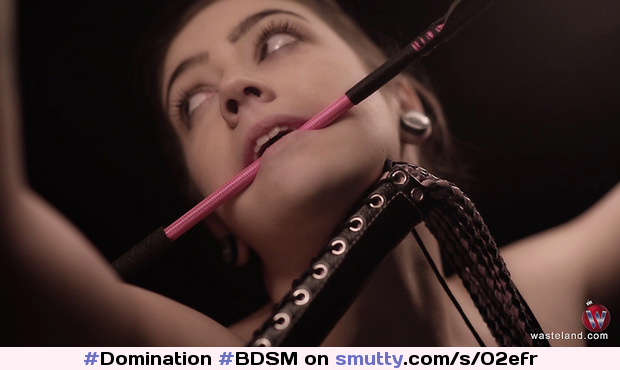 #Domination #BDSM #Bondage #punishment #submissive  #discipline #submission #anal #orgasms #submissive #flogging #femdom #pain #christmas #t