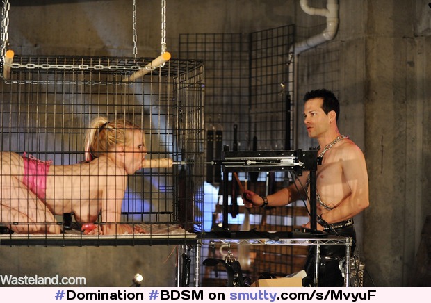 #Domination #BDSM #Bondage #punishment #submissive #submission #pussy #pornstar #humiliation #maledom #punishment #blonde #pigtails #machine