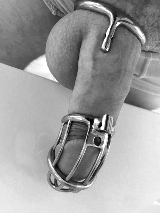 Time to go back! #chastity#cock#dick#cockcage#femdom#fetish#cage
