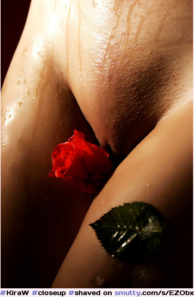 #KiraW #closeup #shaved #pussy #rose #wet #sexy